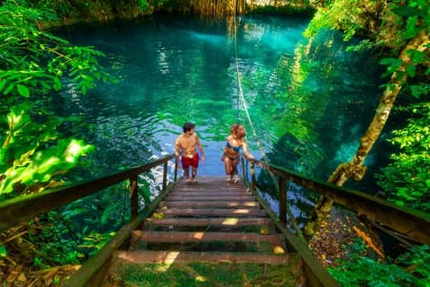 Aventura en grupos pequeños de 3 cenotes ocultos con degustación de tequila