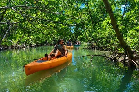 Easy Ride Pedal Kayak Tour Marco Island & Napels (pedaal of peddel)