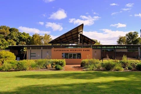 Swan Valley Full Day Tour with Wildlife Encounters