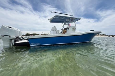 Private All Day Shell Island and Dolphin Adventure in PCB