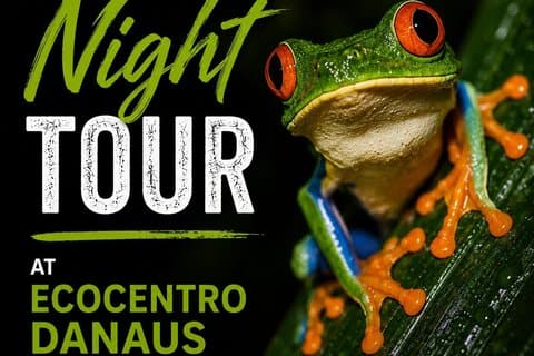Visite nocturne de La Fortuna - Privée