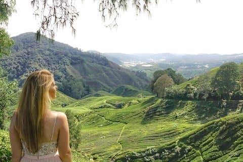 Cameron Highlands Mossy Forest Day Tour with Lunch