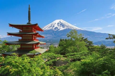 Mount Fuji Ganztagestour von Tokyo Lake Kawaguchi & Yamanaka