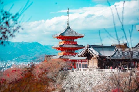 Visite privée de luxe du sanctuaire Inari-taisha de Kyoto Fushimi