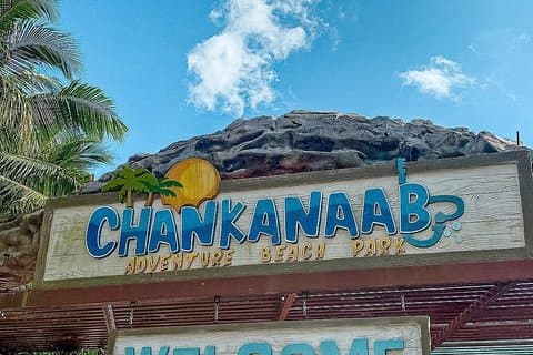 Cozumel Chankanaab avec entrée et transport aller-retour