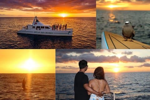 Premium Snorkel Sunset Cruise med Dolphin Watch