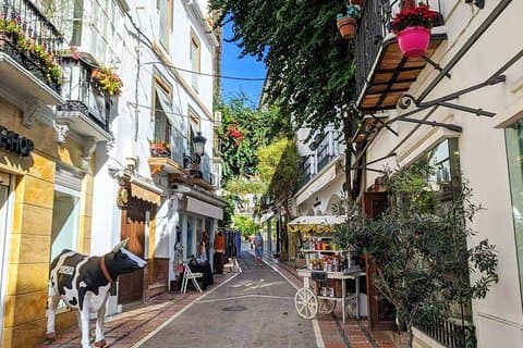 Visite guidée de la vieille ville de Marbella ️