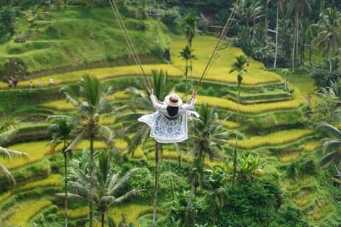 Privat dagstur i Ubud med jungle swing alt inklusive