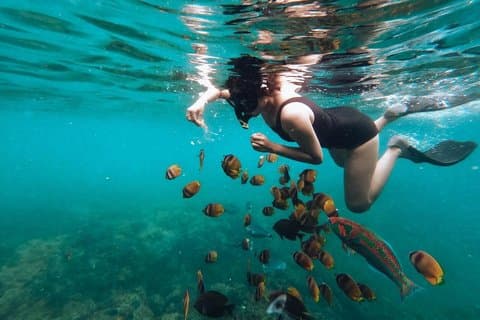 Sanur snorkelervaring in kustgebied inclusief vervoer