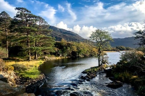 Private Shore Tour: Killarney and Killarney National Park