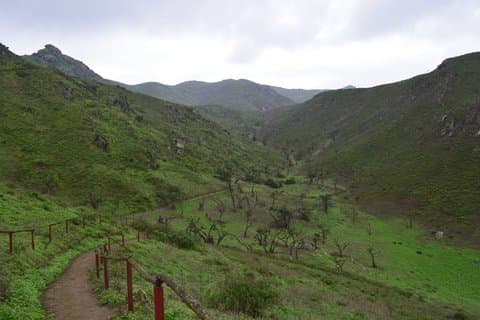 Dagtrip naar Lomas de Lachay vanuit Miraflores