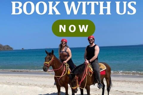 Beach Horseback Riding & Snorkel (Tamarindo, Potrero, Flamingo)