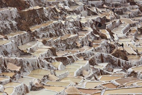 Private Maras and Moray Tour with Llama Lunch from Tambo del Inka