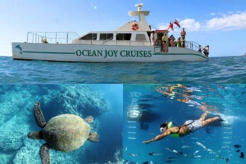 Luksus snorkeltur med delfinklokke og lokal buffet
