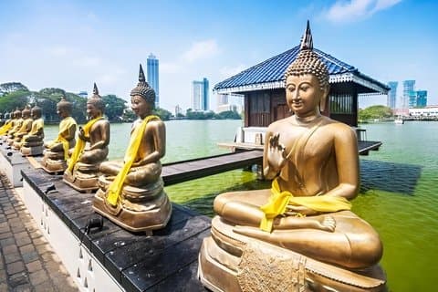 Colombo Airport Layover Tour Highlights City em 8 a 12 horas