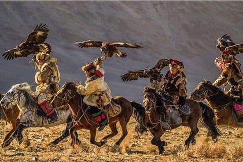 7 Day Private Cultural Tour in Mongolia Golden Eagle Festival