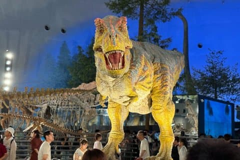 Kanazawa: World-Class Fukui Dinosaur Museum liten gruppe tur