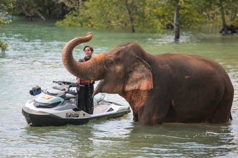 Phuket Jet Ski 7 Îles et Elephant Care Camp
