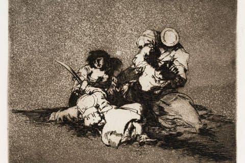 Goya & San Sebastian 1813: Historie, kunst & Napoleon (Privat)