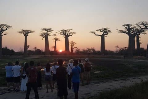 12 Days Southwest Madagascar Adventure