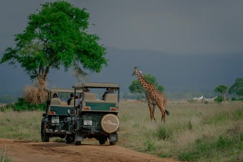 Safari de deux jours au parc national de Mikumi depuis Dar es Salaam en train