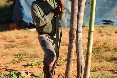 Traditionelle Simbabwe Village Tour in der Nähe von Victoria Falls
