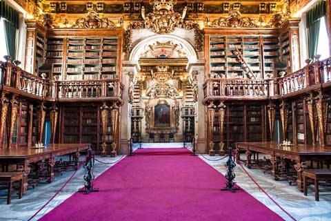 Privat Coimbra & Aveiro Tour från Porto med universitet och kanaler