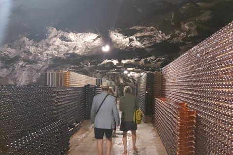 Privétour met mousserende wijn en Douro-vallei vanuit Porto met Lamego