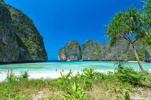 Phi Phi Island Tour em Speedboat ou Catamarã