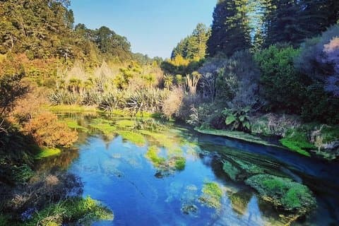 Chambres et tarifs pour Blue Springs, Rotorua Whakarewarewa, Redwood Forest