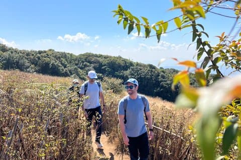 Visite privée du parc national de Doi Inthanon