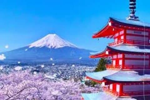Customized Shimizu and Shizuoka Tour by Private Car and Guide