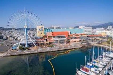 Ultimate Shimizu and Shizuoka Tour by Private Car and Guide
