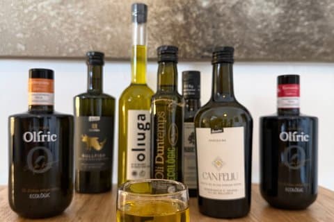 Økologisk olivenoliesmagning i Palma de Mallorca