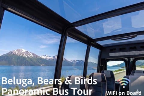 Private Beluga, Bears & Birds Panorama Bustour nach AWCC