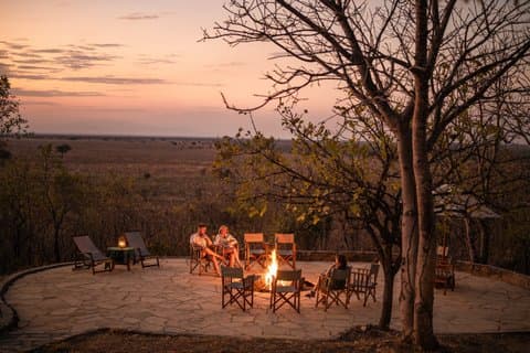 2-Day Classic Mikumi Fly-In Safari from Zanzibar