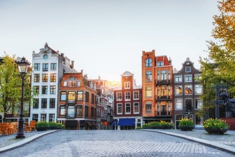 Amsterdam Dam Square and Flower Market Walking Tour