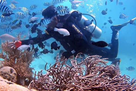 Nha Trang 1 immersione subacquea Esperienza subacquea con pranzo barbecue