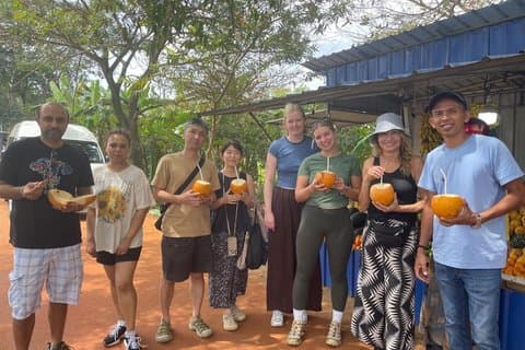 From Colombo, Sigiriya Lion Rock, Cave Temple & Jeep Safari Day