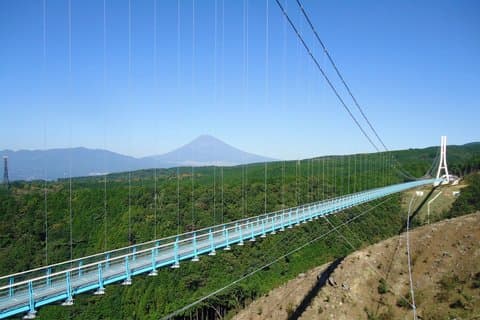 三島スカイウォーク、伊豆パノラマパーク&BBQへの富士山観光ツアー