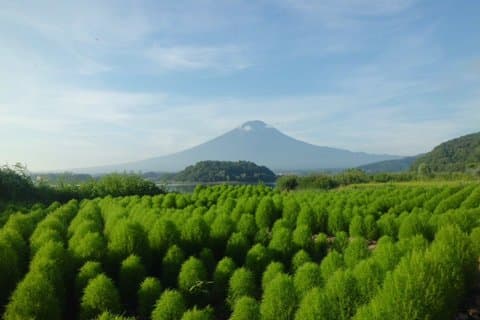 Excursão de um dia para Mt Fuji 5th Station com colheita de frutas de Tóquio