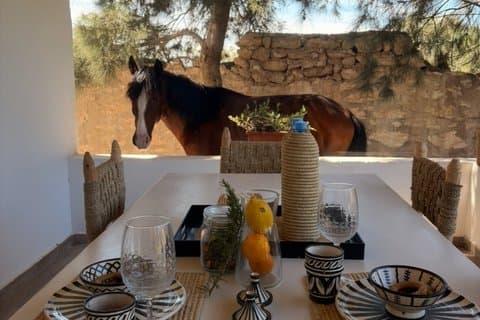 エッサウイラでの昼食付き朝自然乗馬