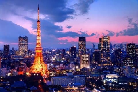 TOKYO Tour efter ankomsten till flygplatsen