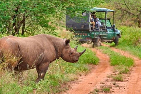 2 jours Tanzanie Rejoindre Safari en groupe à Tarangire et Ngorongoro