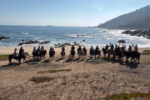 海岸沿いの冒険：チリのパプドでセーリングと乗馬を楽しむ