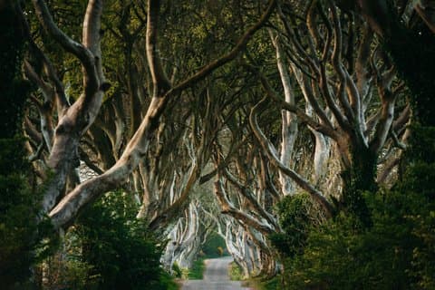 Anmeldelse af Game of Thrones North Antrim Coast
