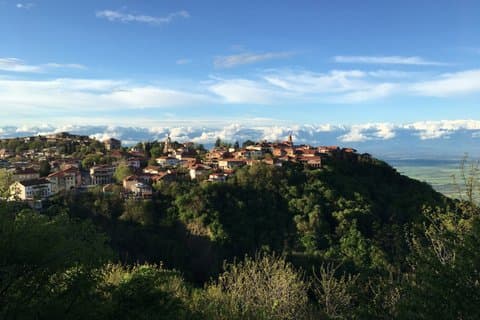 Private Kakheti Wine Tour