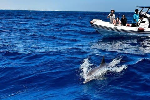 Jo's Sea aventures à Hurghada