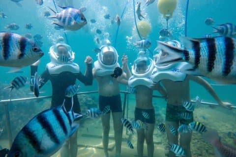 Cham Island Sea Trek e Snorkeling de lancha