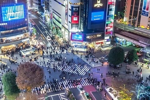 Tokio Nachtlampjes en verborgen juweeltjes Privébusje Tour